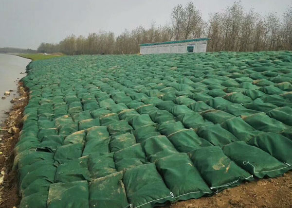 ���B(t��i)��